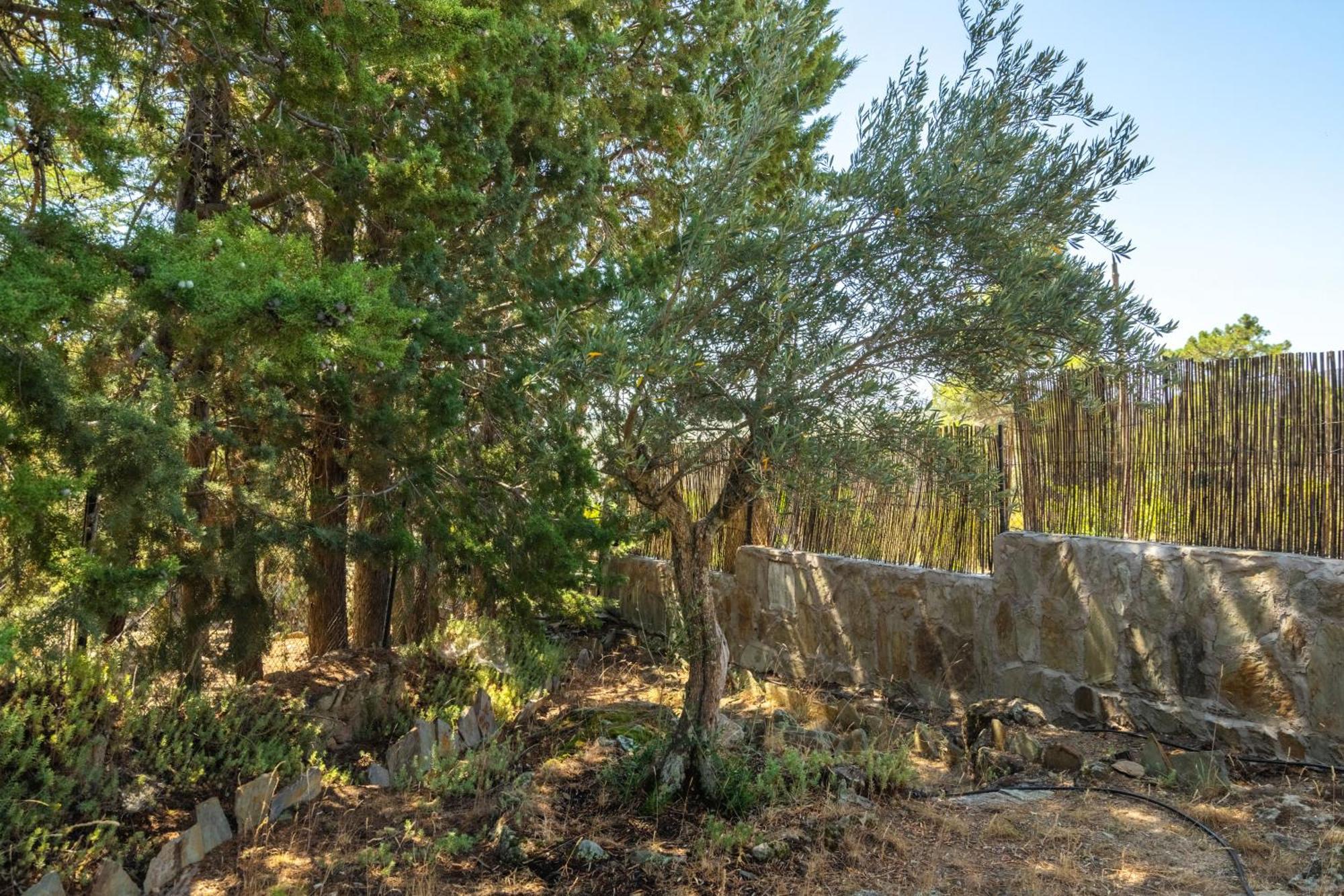 Casa Rural Los Olivos De Robledo De Chavela La Estacion 外观 照片